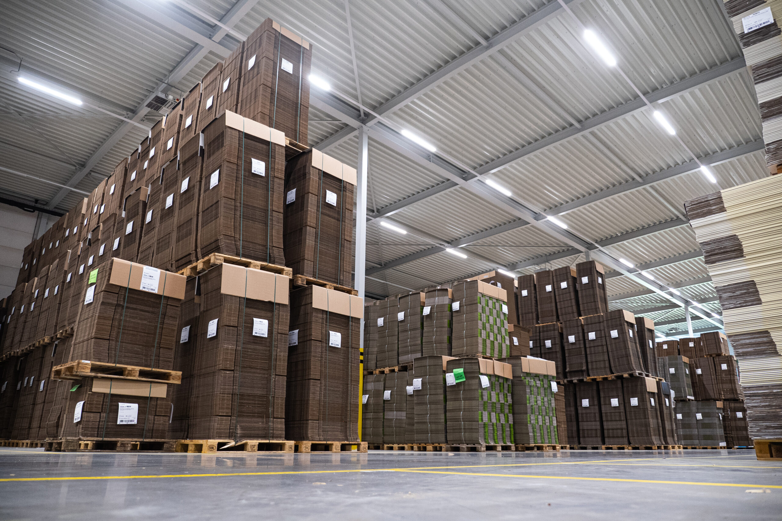 Thomassen-Transport-Juli-7-van-24-1